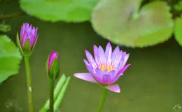 Xin đừng phán xét đời qua lăng kính màu